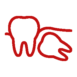 Cirurgia Terceiro Molar